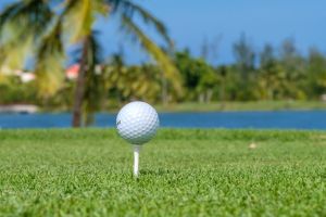 DR Golf Travel Exchange